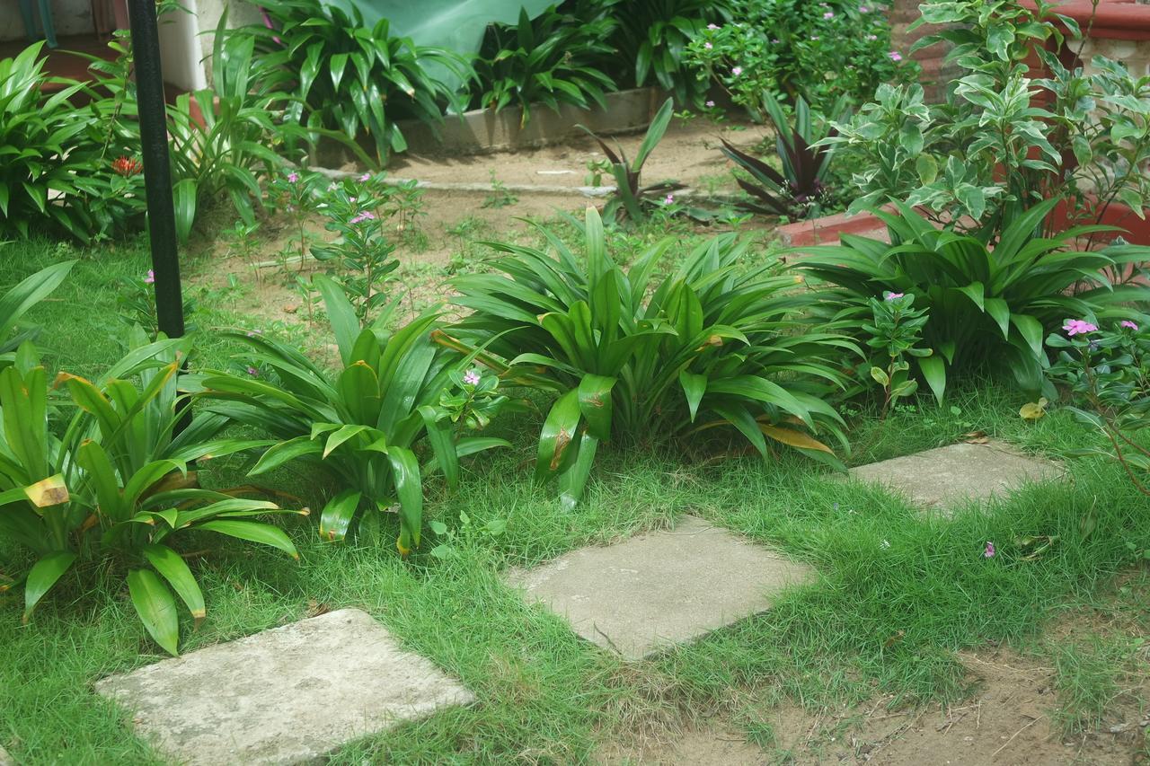 Dephani Beach Hotel Negombo Eksteriør bilde